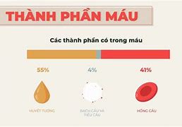 Chỉ Số Mchc Trong Máu Là Gì