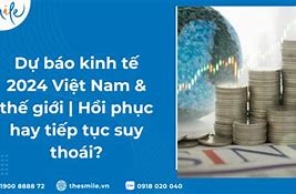 Dự Báo Nền Kinh Tế Việt Nam 2024