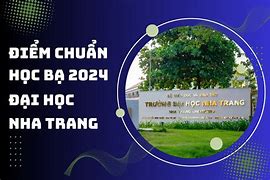 Du Học Mỹ 2022 Điểm Chuẩn Học Bạ 2024 Us University Ranking