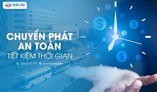 Văn Phòng Hải Âu Trần Nhật Duật Hà Nội